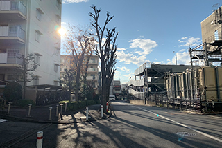 駅からの徒歩ルート